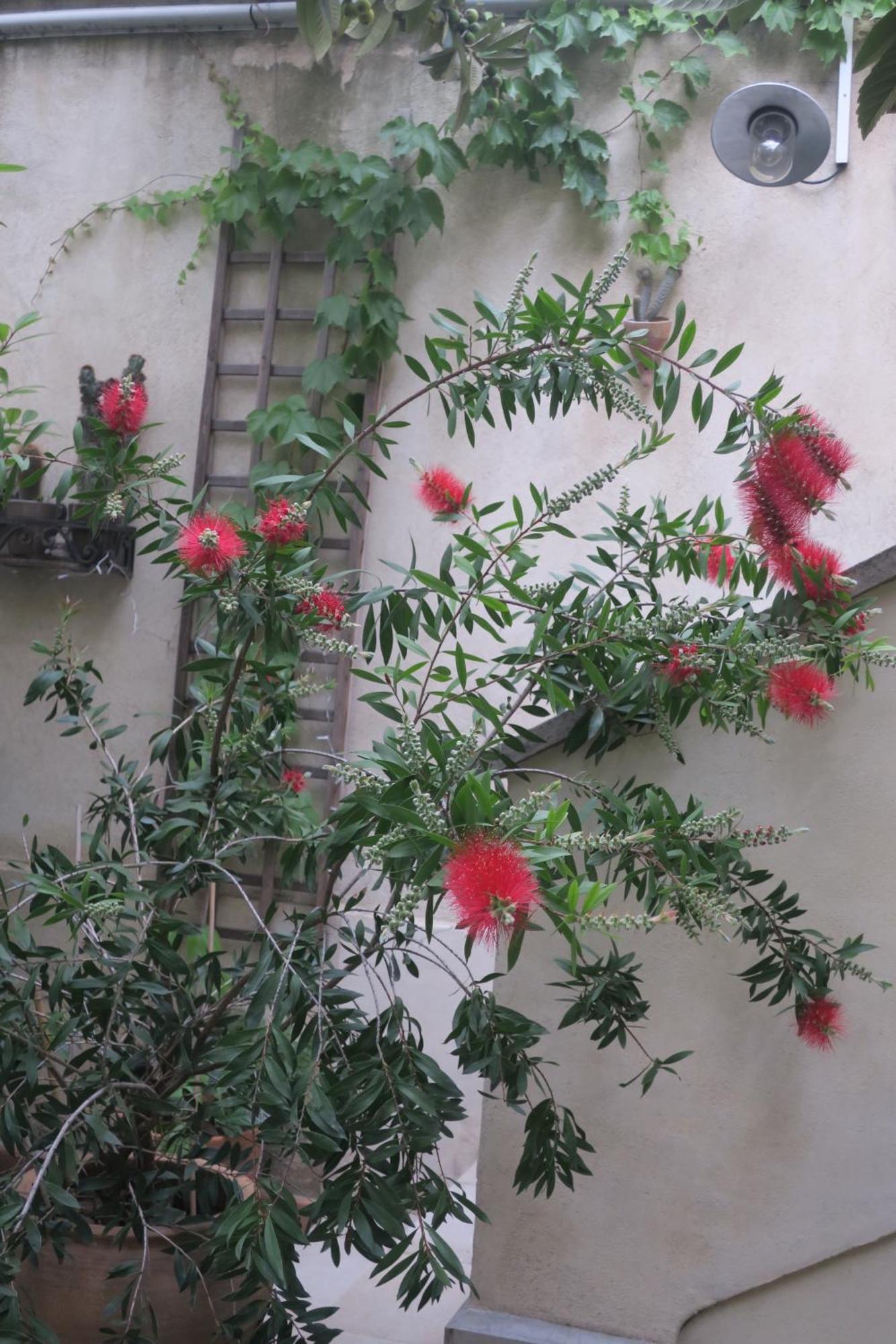Tombe La Nefle Acomodação com café da manhã Avinhão Exterior foto